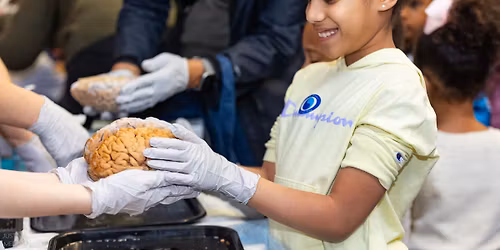 Pawtucket Brain Fair 2026