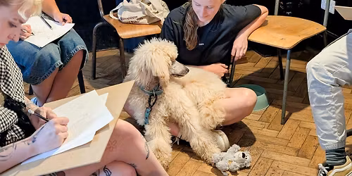 Dog Life Drawing at The Crafty Egg, Fishponds, Bristol - Spring Season