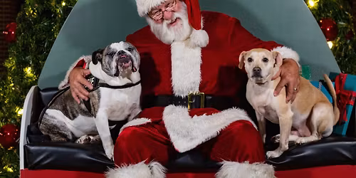 Pet Pictures with Santa