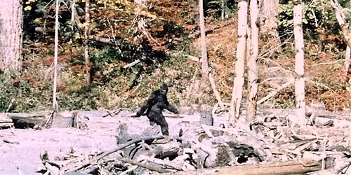 Big Foot Scavenger hunt