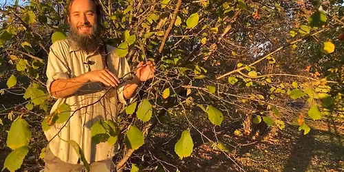 The yoga of plants weekend immersion Atlanta