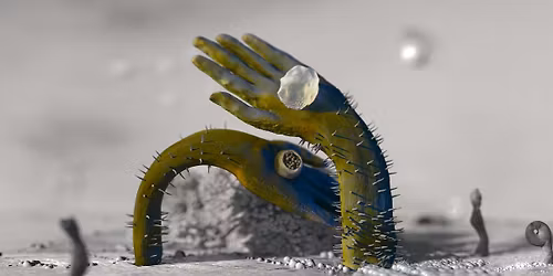 Gender Matters: Iman Datoo