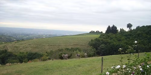 MARCHER PAR MONTS ET PAR VAUX