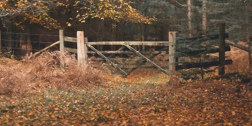 New Forest CDA mid-term meeting