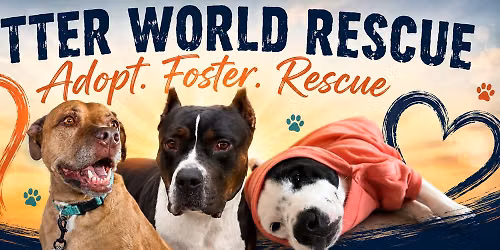 Clear the Shelters Adoption Event