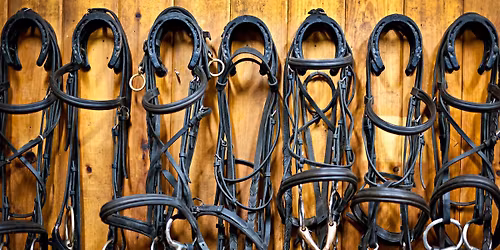 Strathcona County Horse Tack Sale
