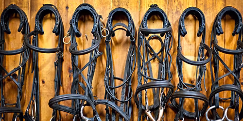 Sherwood Park Horse Tack Sale