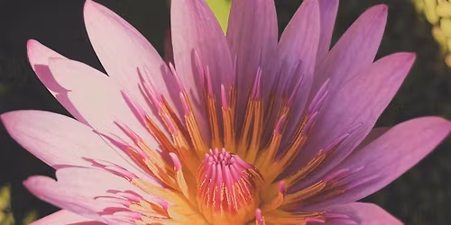 HEALING IN THE GARDENS ON MAUI