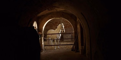 Between the Ditches and Ramparts [screening + discussion]