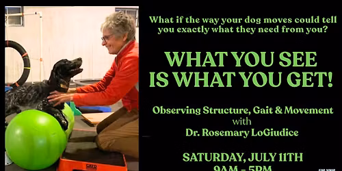 What You See Is What You Get! Observing Structure, Gait & Movement with Dr. Rosemary LoGiudice
