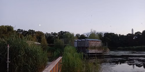 Sounding with Bats: Elo Masing, Francis Heery, Ernst Surberg + the resident bats at Floating 