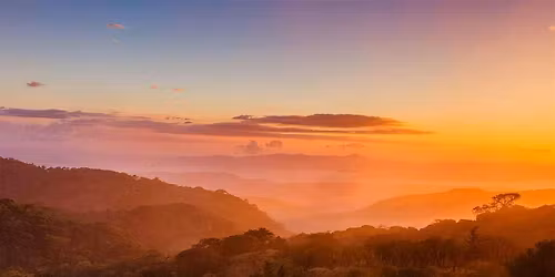 Costa Rica Jungle Getaway