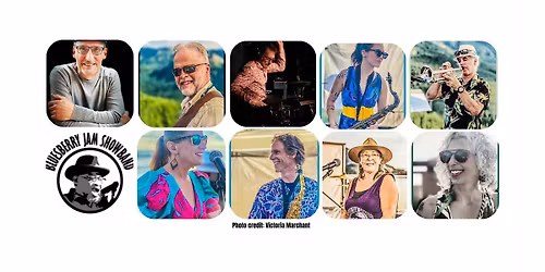 Bluesberry Jam Showband