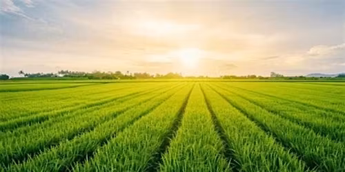 Southern Maryland Farming Collective Meet and Greet