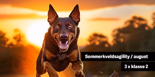 Sommerkveldsagility \/ august \/ 3 x klasse 2