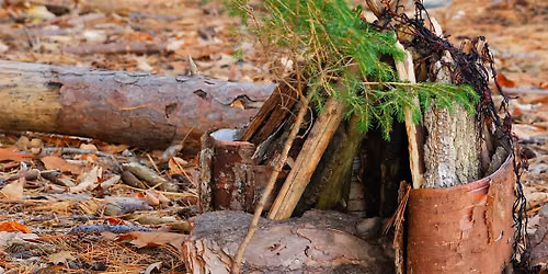 Fairy Houses at DeVeaux