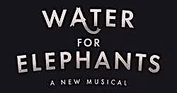 Water for Elephants (Sunday, 2pm)