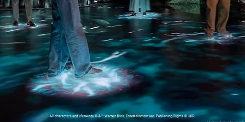 Harry Potter: Visions of Magic