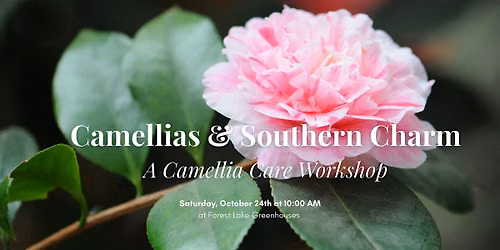 Camellias & Southern Charm: A Camellia Care Workshop
