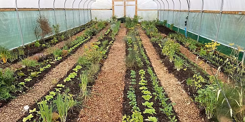 Polytunnel \/ Greenhouse Design