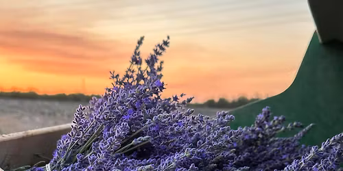 \ud83d\udc9c U-PICK LAVENDER IS NOW OPEN AT LAZY RIVER LAVENDER \ud83d\udc9c 