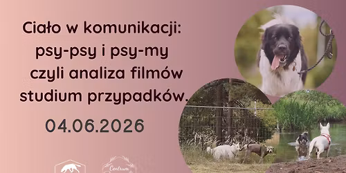 Cia\u0142o w komunikacji: psy-psy i psy my - czyli analiza film\u00f3w i studium przypadk\u00f3w.