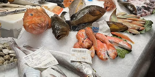 My Adventures in Italy and Spain