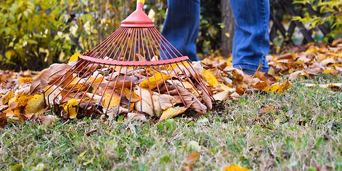 No-Charge Yard Waste Day
