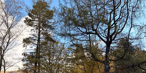 Snowdon Circular - Cwm Tregalan