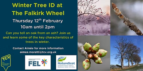 Winter Tree ID at The Falkirk Wheel