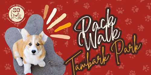 Tambark Park Community Pack Walk with A Canine Experience \ud83d\udc3e