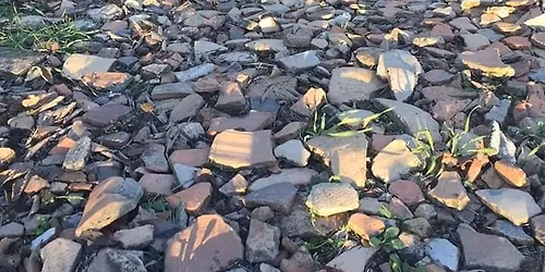 Apertura Speciale: Il Monte dei Cocci a Testaccio, racconti di un\u2019antica discarica 17\/1 ore 15:15