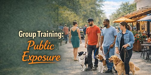 Public Exposure Group Training Dog | Columbus, GA
