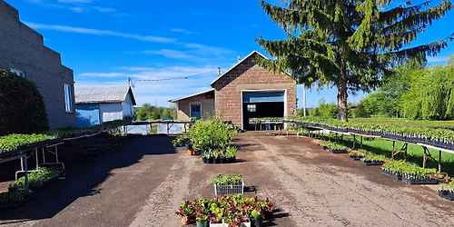 Vente de plants  16-17 et 18 mai