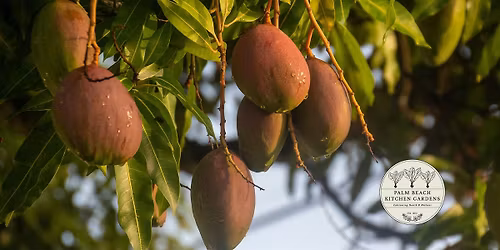 Food Forest Design Workshop