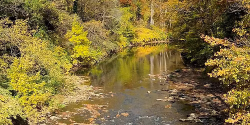 Clean up the Wiss nature hike (Sponsored by Men\u2019s Yoga Collective)