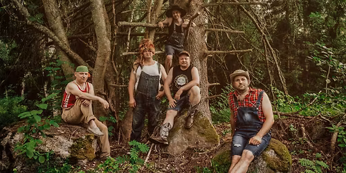Steve'n'Seagulls