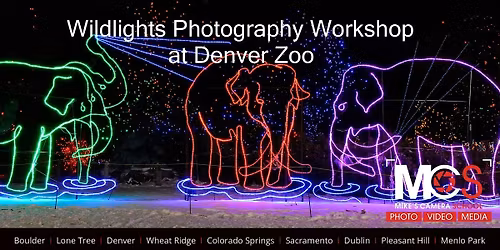 3 Part Wildlights Photography workshop at Denver Zoo