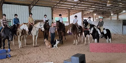 Young Riders Horse Camp! (ages 10-16) at Mimosa Hills Farm