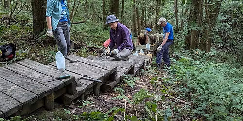 Volunteering @ Lydebrook Dingle