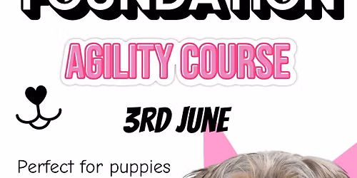June Foundation Agility Course