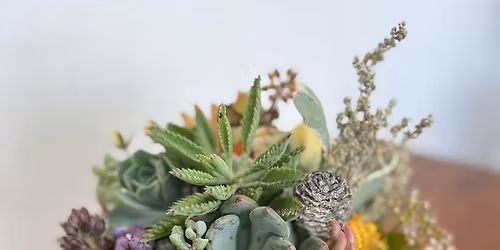 Succulent Pumpkin Class-Perfect for Thanksgiving!