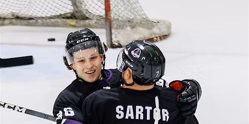 Toledo Mobsters Hockey