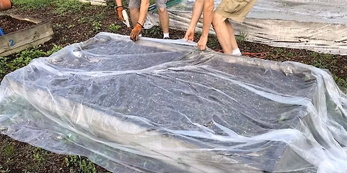 Improve Your Garden Soil Over the Summer:  Solarize it!