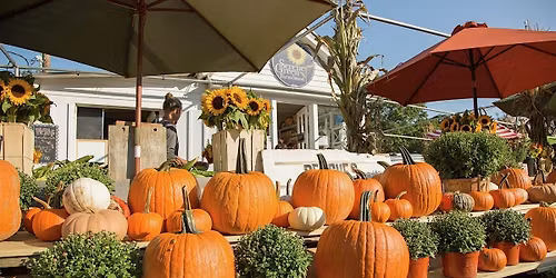 Pumpkin Pick-Up Party - Hosted By, The NL Ferrata Team