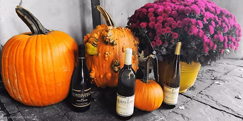 Give Thanks & Get Sipping: An Exploration of Thanksgiving Wines\n