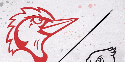 Fayetteville Woodpeckers at Myrtle Beach Pelicans at Pelicans Ballpark