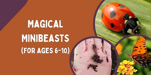 Magical Minibeasts - School Holiday Activity (for ages 6-10)