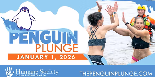 Penguin Plunge