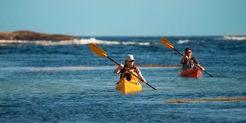 Sea Kayak Tripping: Paddle Canada Level 2 Sea Kayak Skills Course 